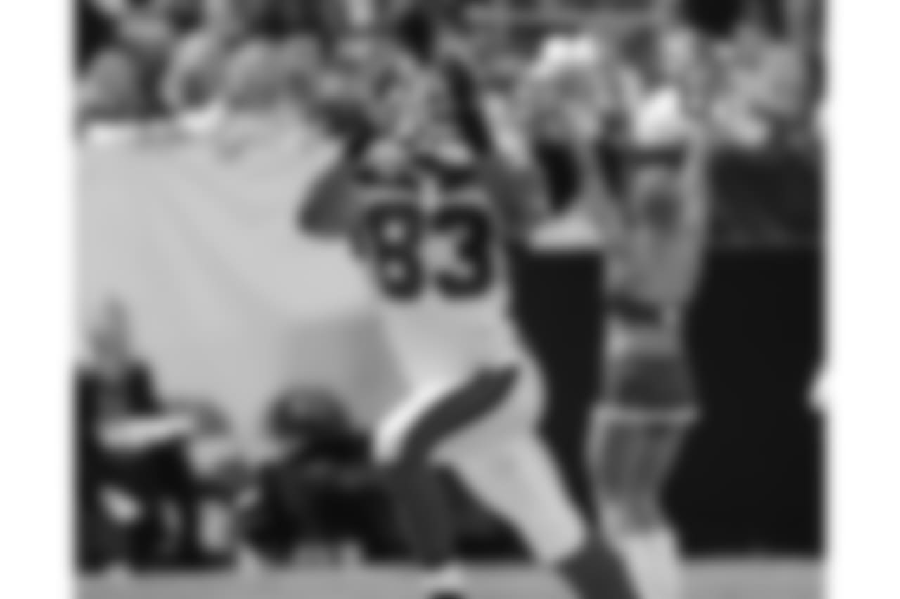 Bills at Vikings, 2010