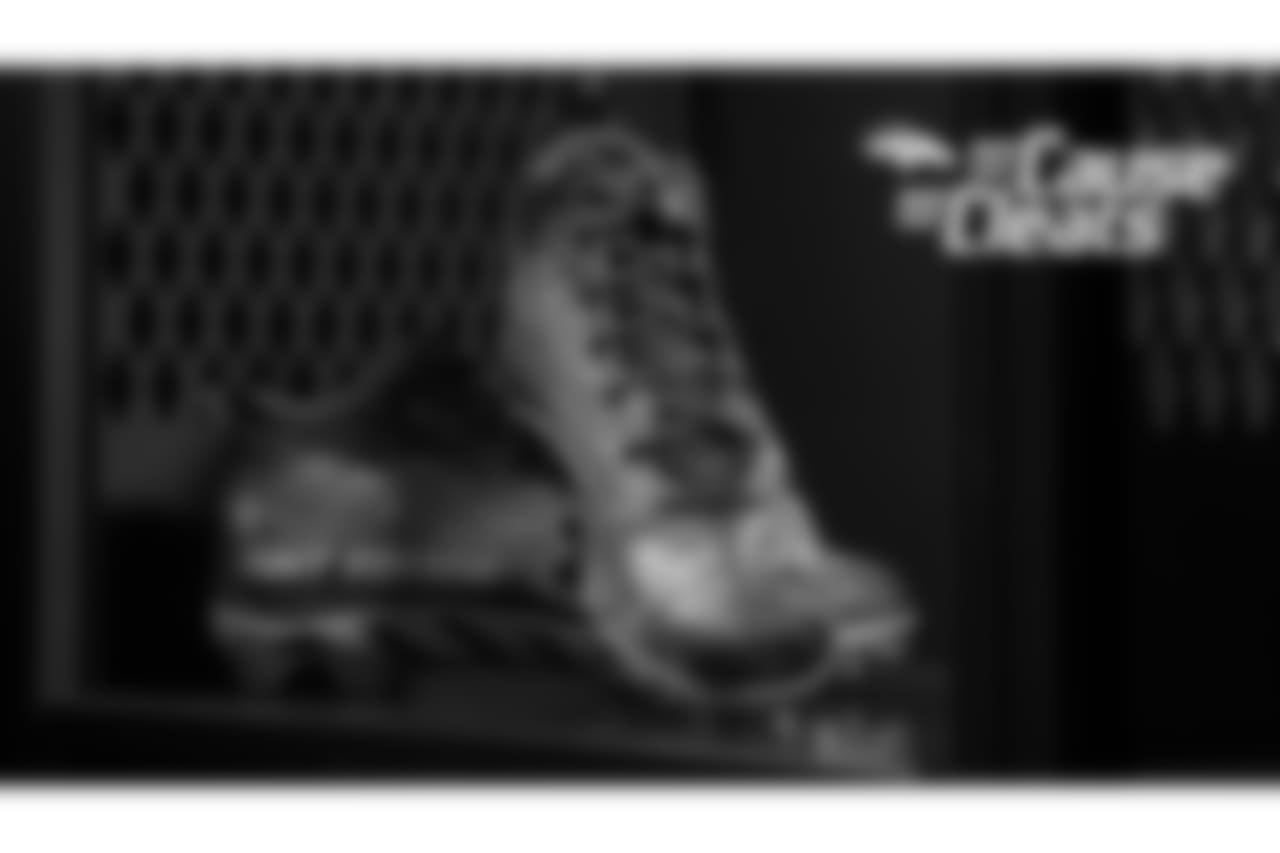 Shelby Harris' cleats represent the Breast Cancer Research Foundation for My Cause My Cleats in 2018.