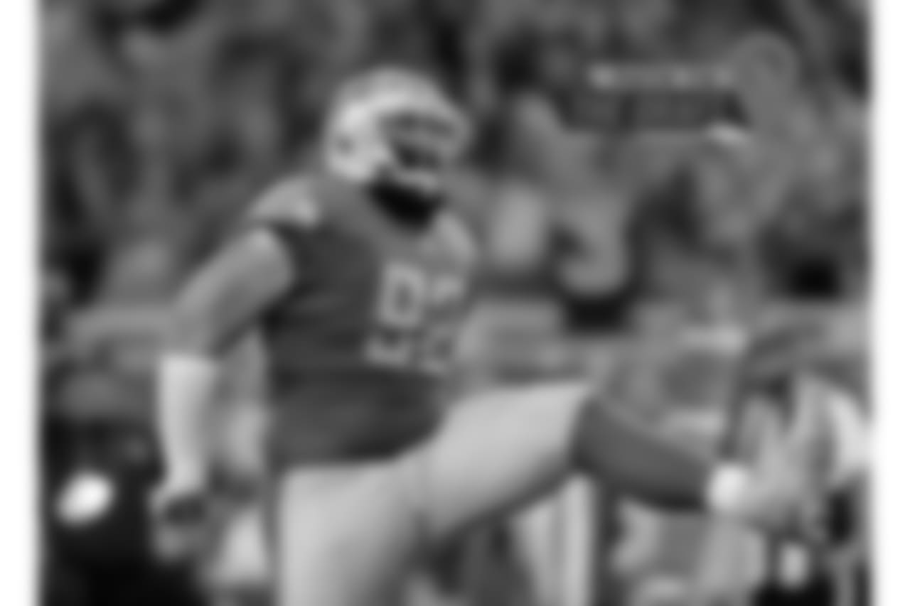 At 34 years old and with 13 previous seasons of experience, there are questions as to how much Ngata has left, especially after a torn biceps ended his 2017 season after five games. Ngata is a two-down run defender at this point, and that could limit his value. (Paul Sancya/AP Images)