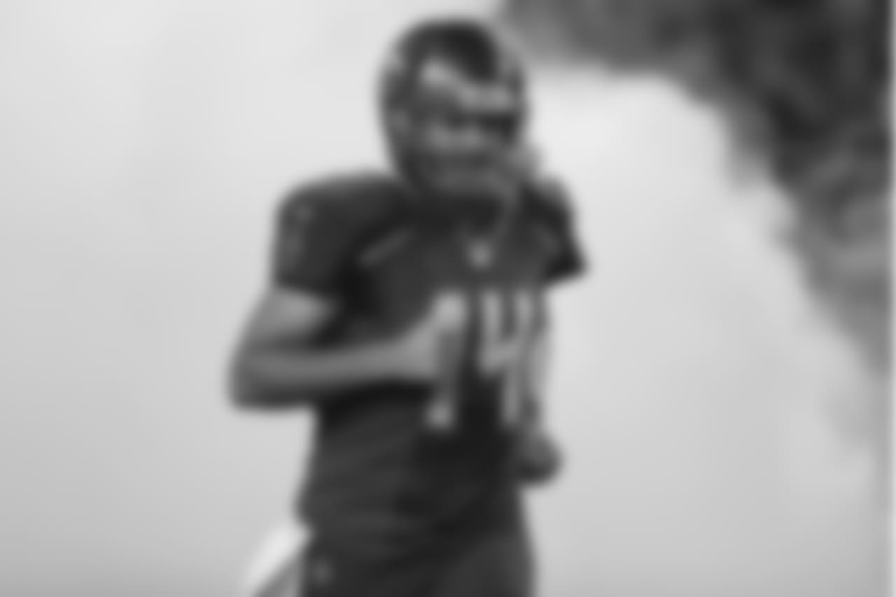 QB Ryan Fitzpatrick, No. 14