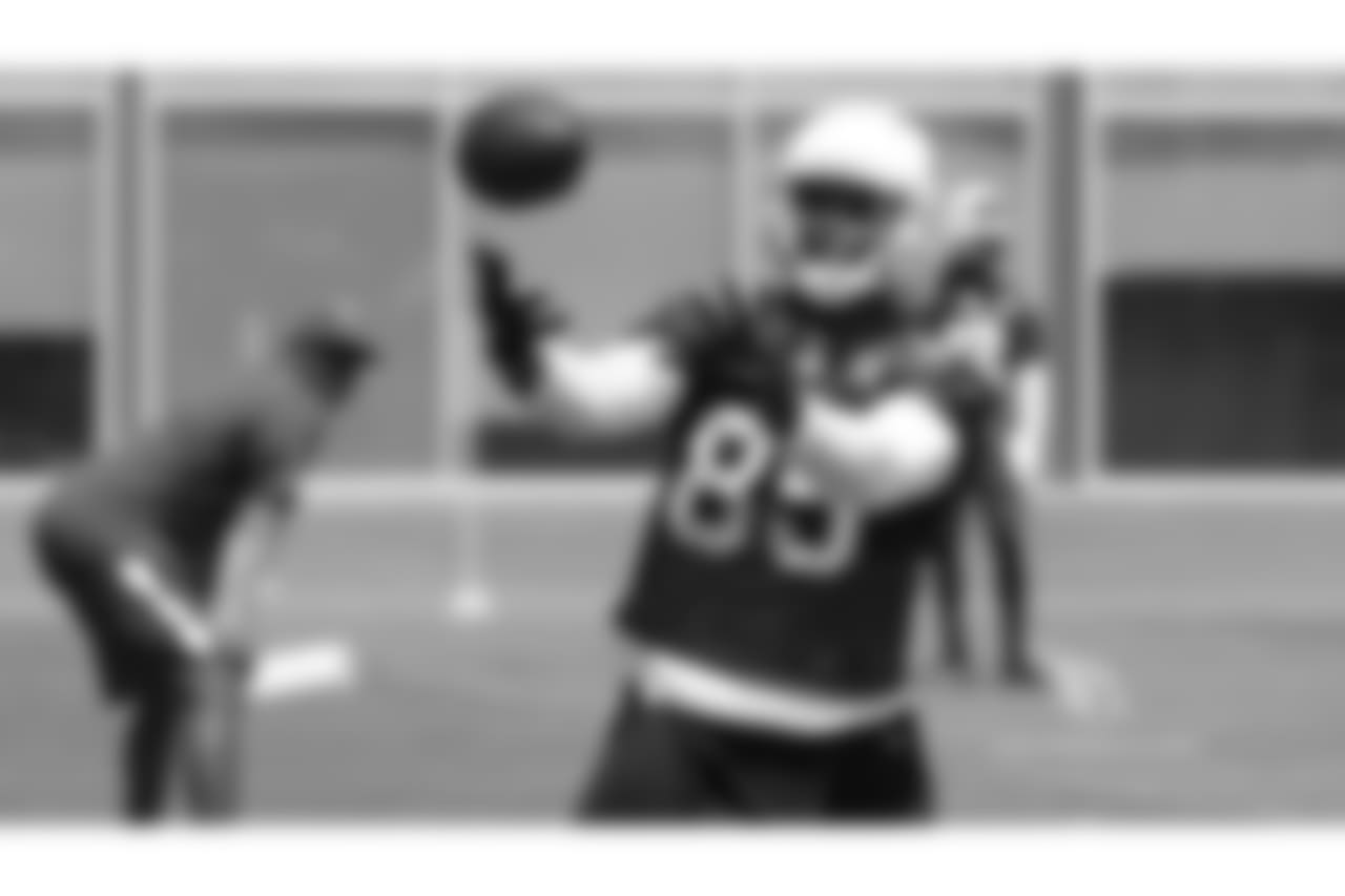 TE Gabe Holmes