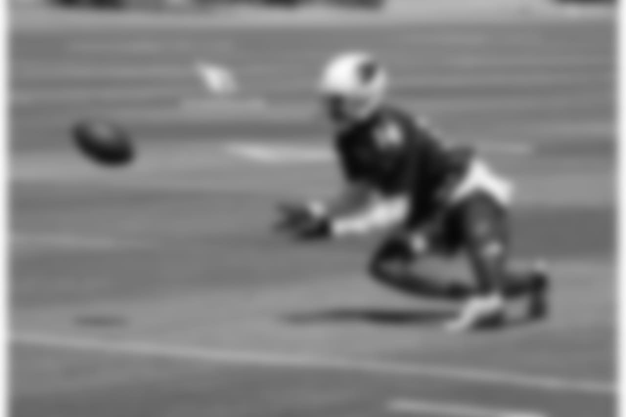 WR J.J. Nelson