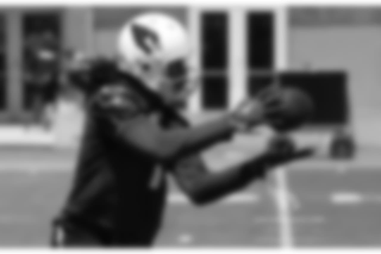 WR Larry Fitzgerald