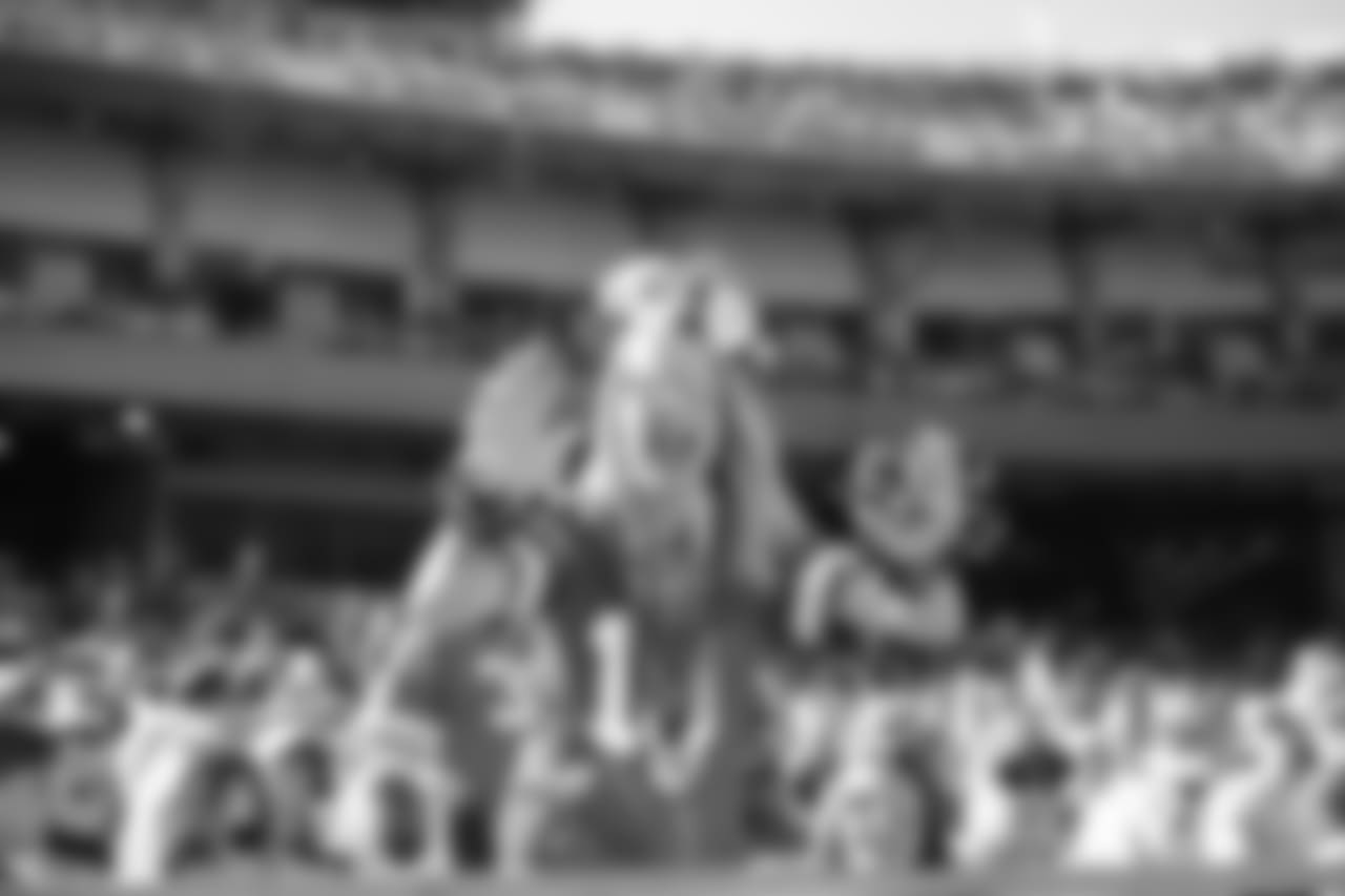 Chiefs' team photographers best shots of The Kingdom