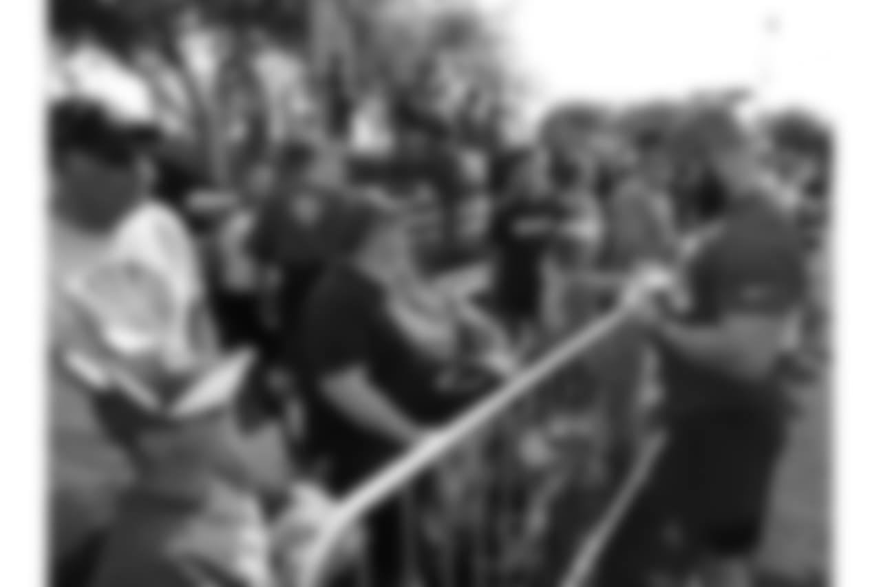 031_PB_D1_2019_P