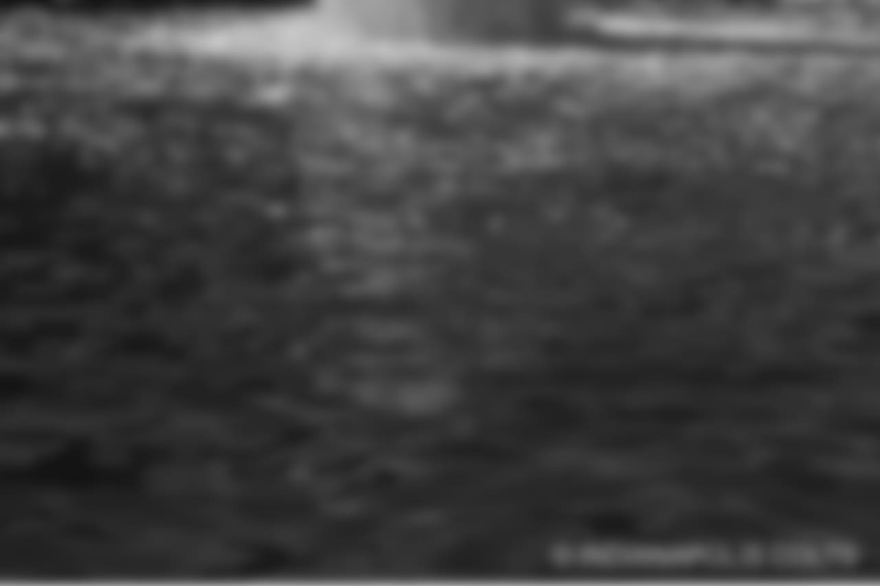 2018_1008_pinkingofthecanal_0263