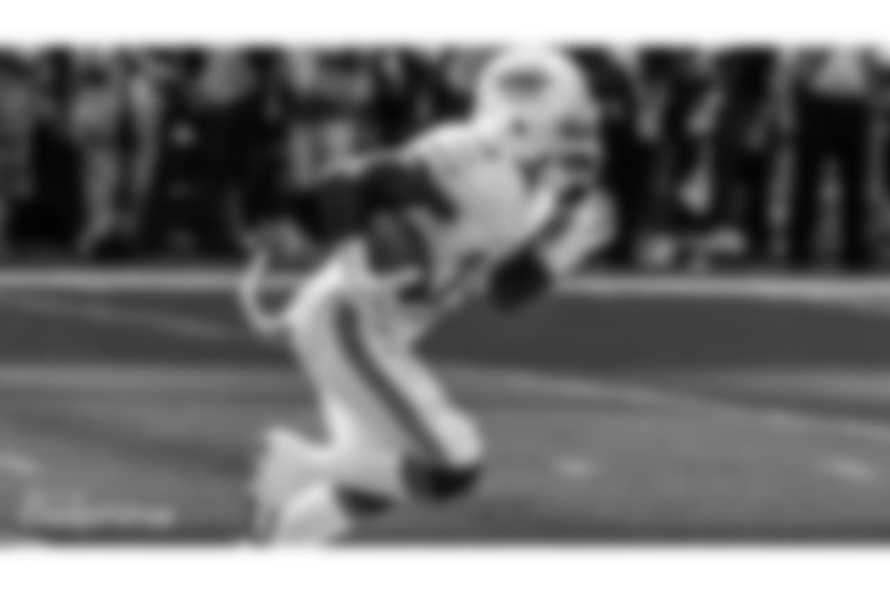 Detriot Lions