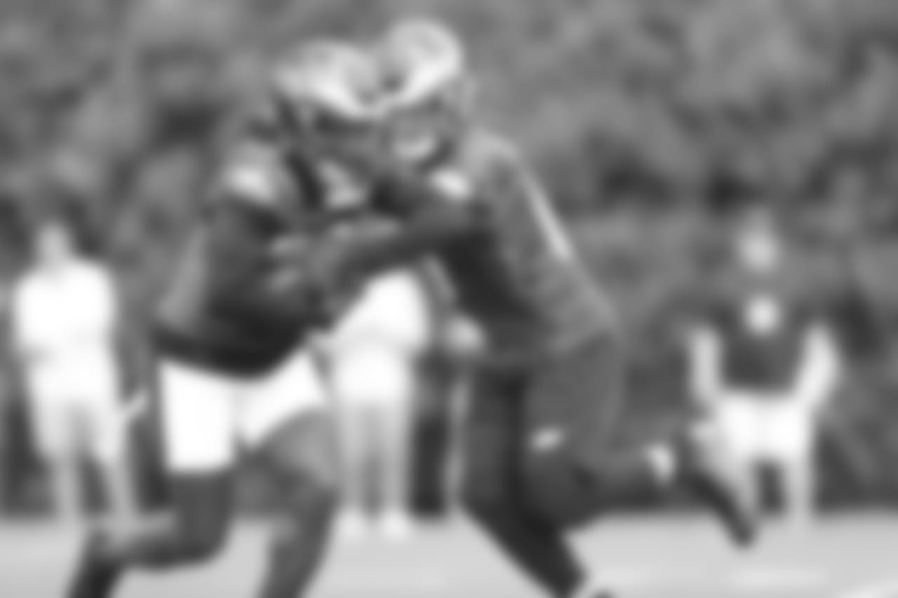 Jay Ajayi takes the handoff