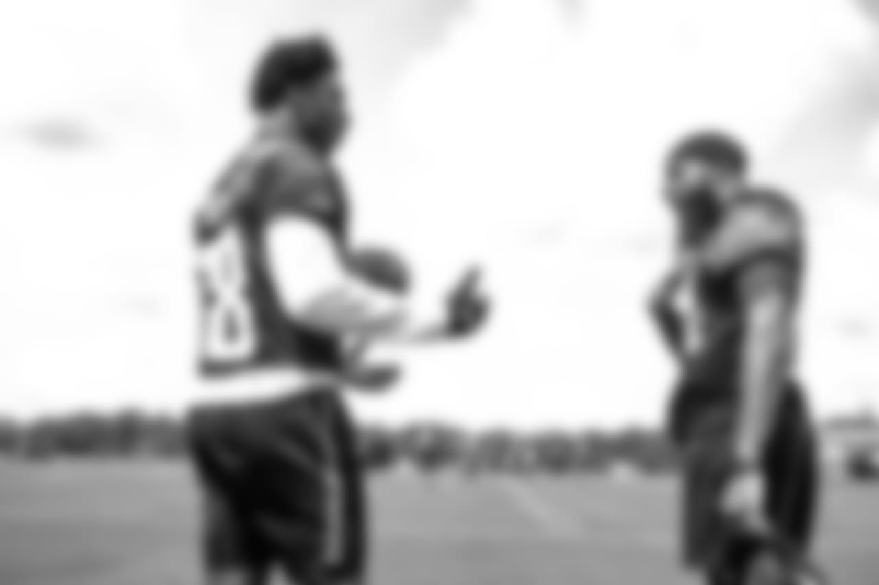 WR Calvin Ridley,WR Justin Hardy