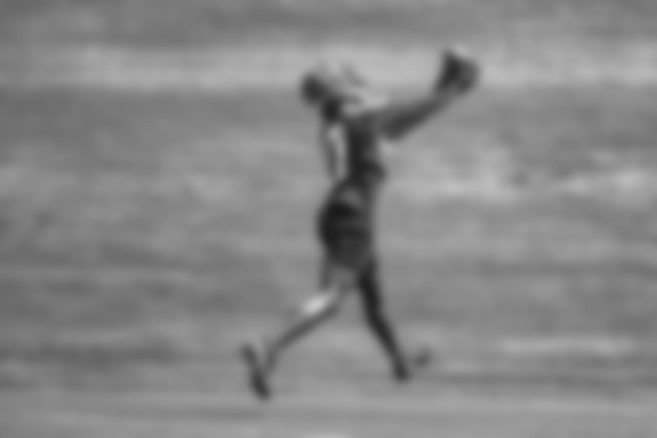WR Julio Jones