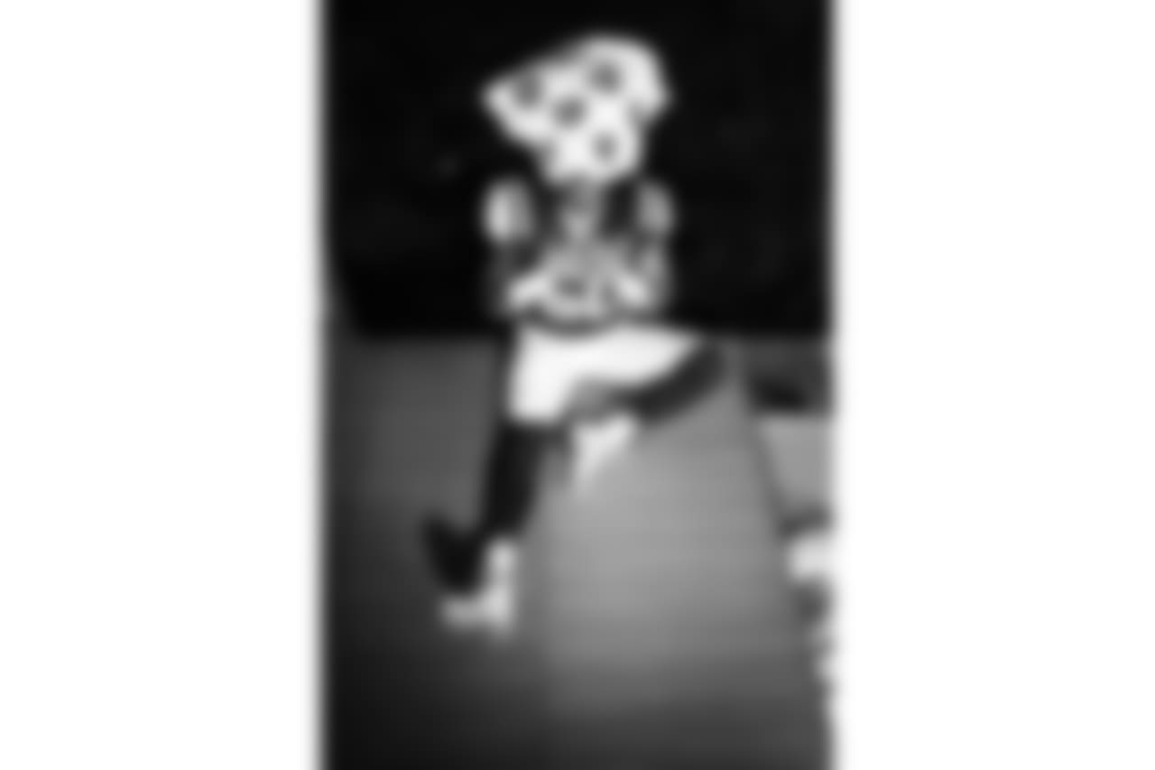 E_L1050373