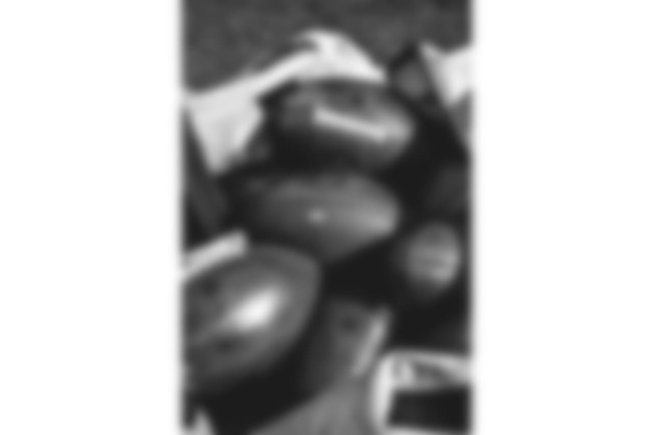 E_FOX_6264