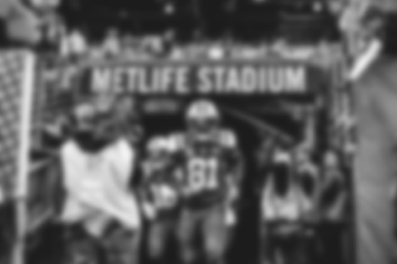 E_FOX_6274