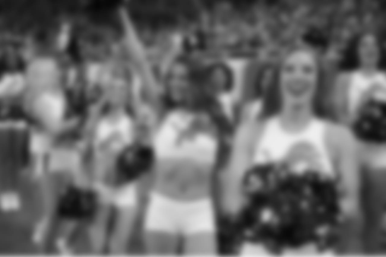 Detroit Lion Vs New England Patriots