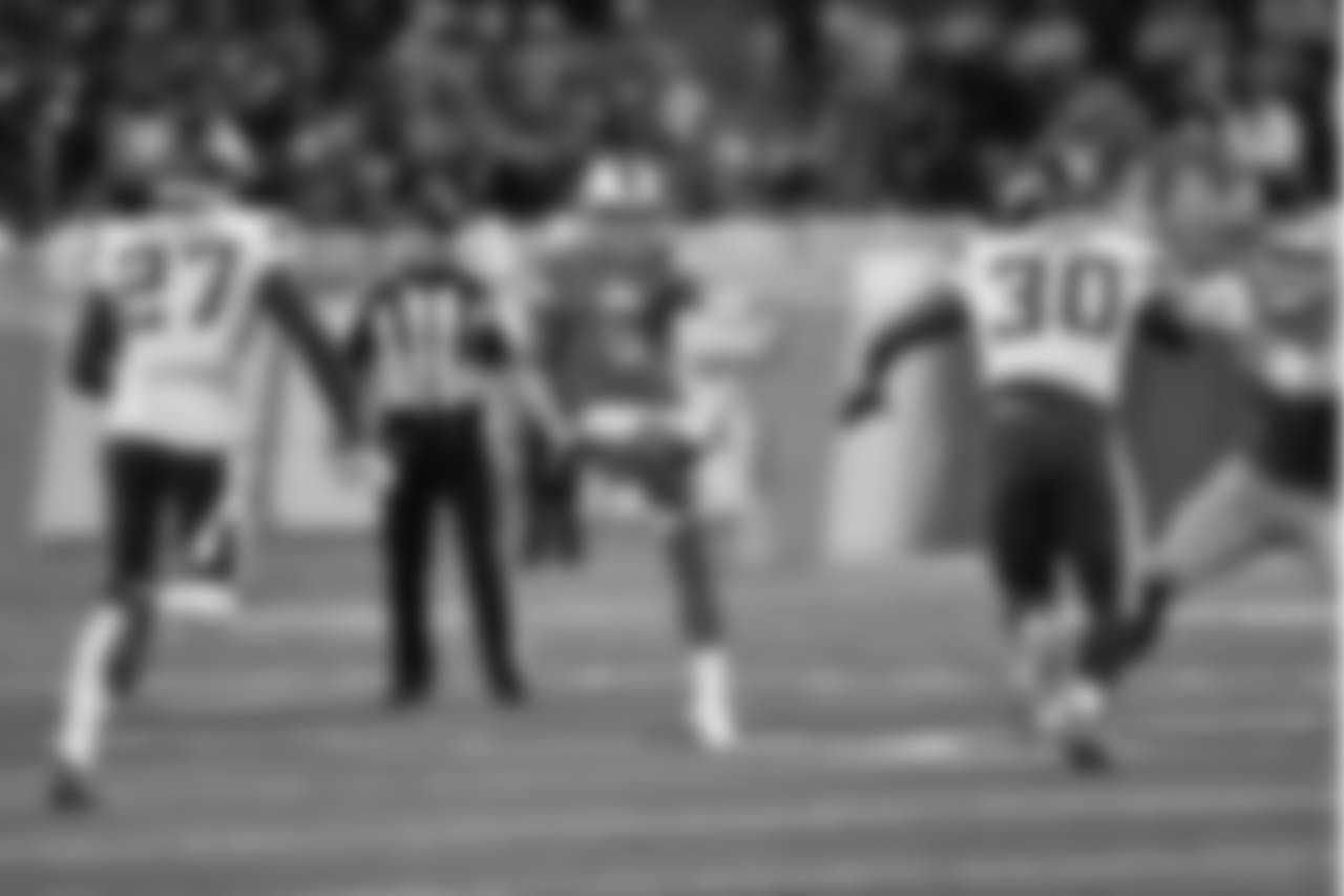 Detroit Lions punter Sam Martin (6) punts during a NFL football game against the Minnesota Vikings on Sunday, Dec. 23, 2018 in Detroit. (Detroit Lions via AP).