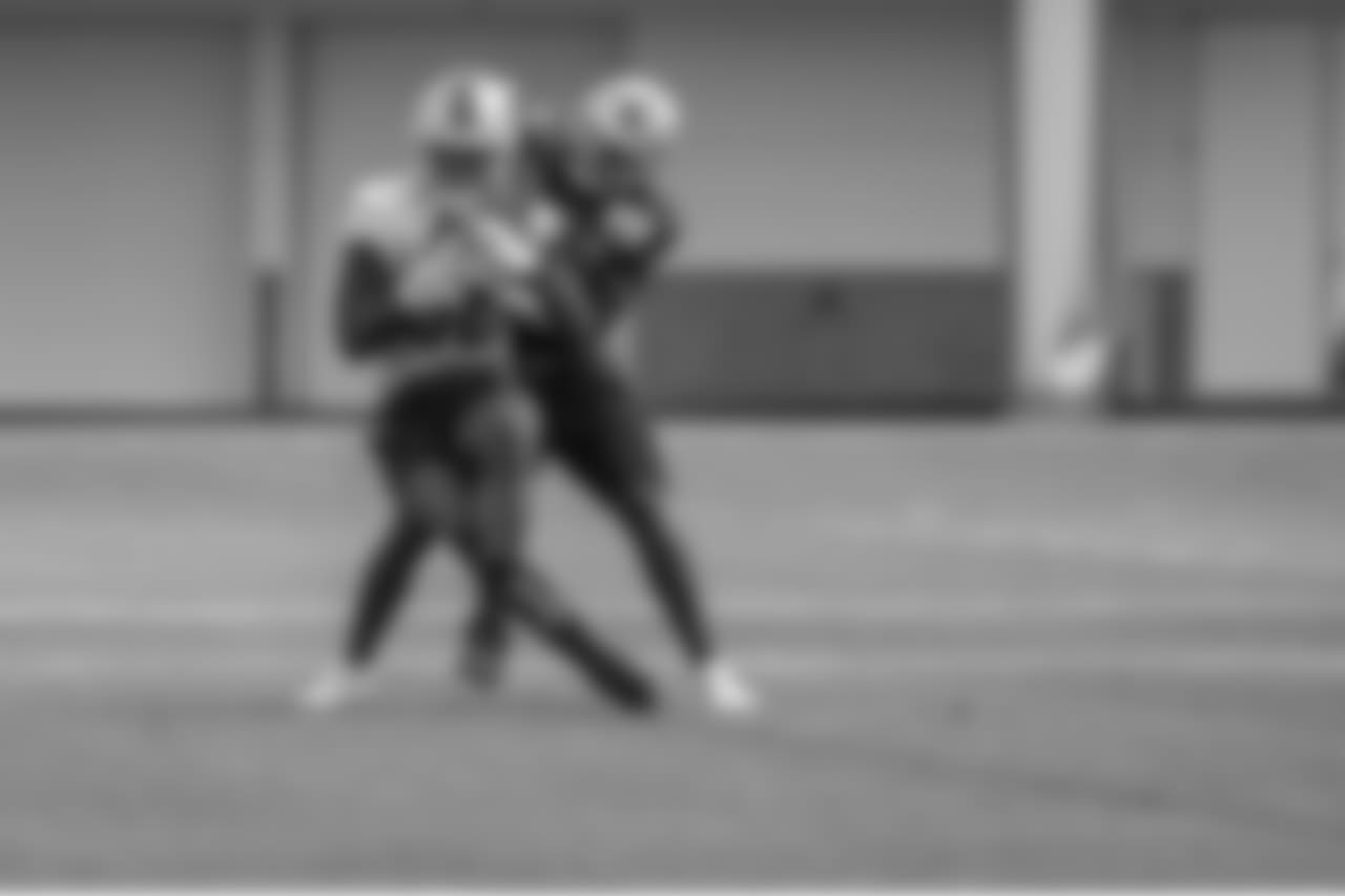 Detroit Lions tight end Michael Roberts (80) catches a touchdown during training camp practice on Monday, Aug. 13, 2018 in Allen Park, Mich. (Detroit Lions via AP)