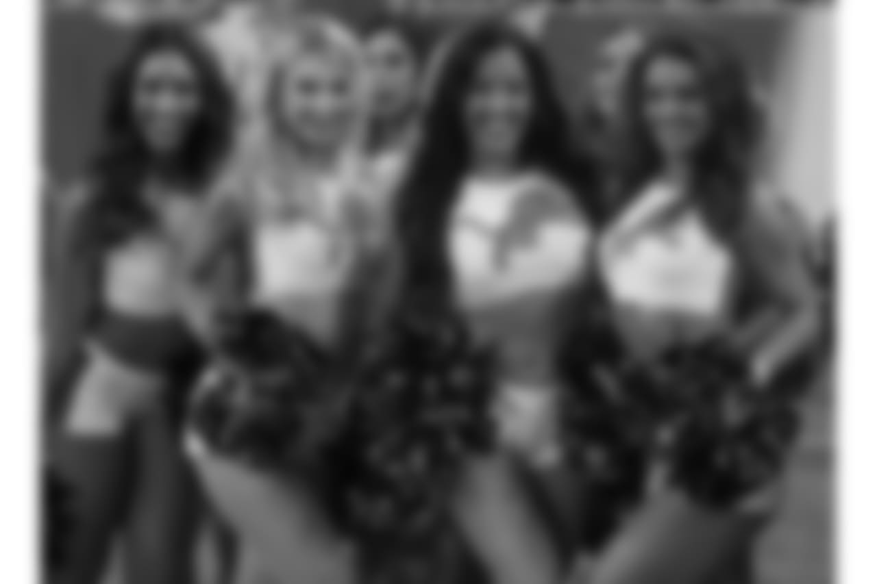 Detroit Lion Vs New England Patriots