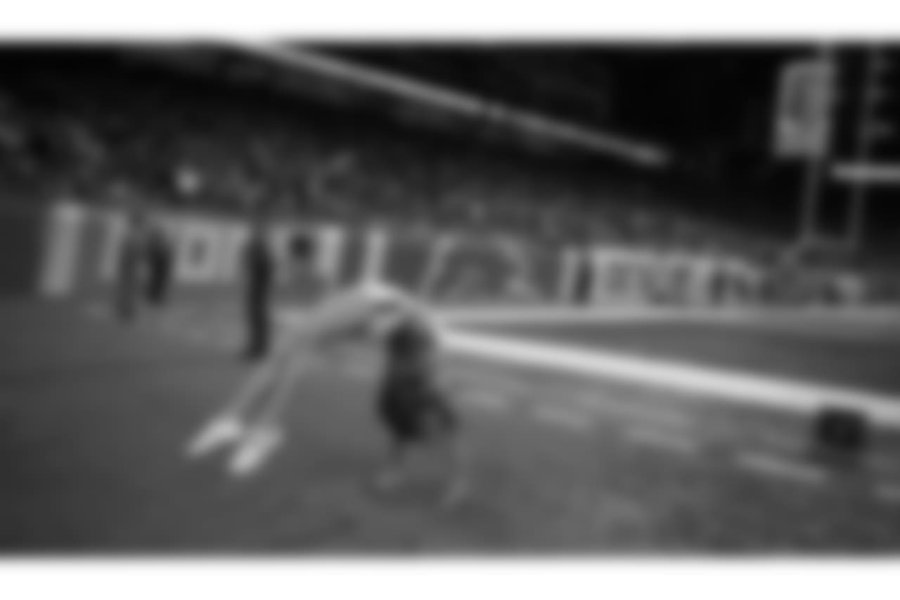 Detroit Lion Vs New England Patriots