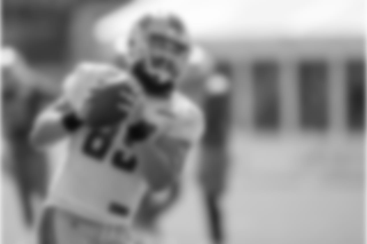 Detroit Lions tight end Sean McGrath (85) during training camp practice on Monday, Aug. 13, 2018 in Allen Park, Mich. (Detroit Lions via AP)