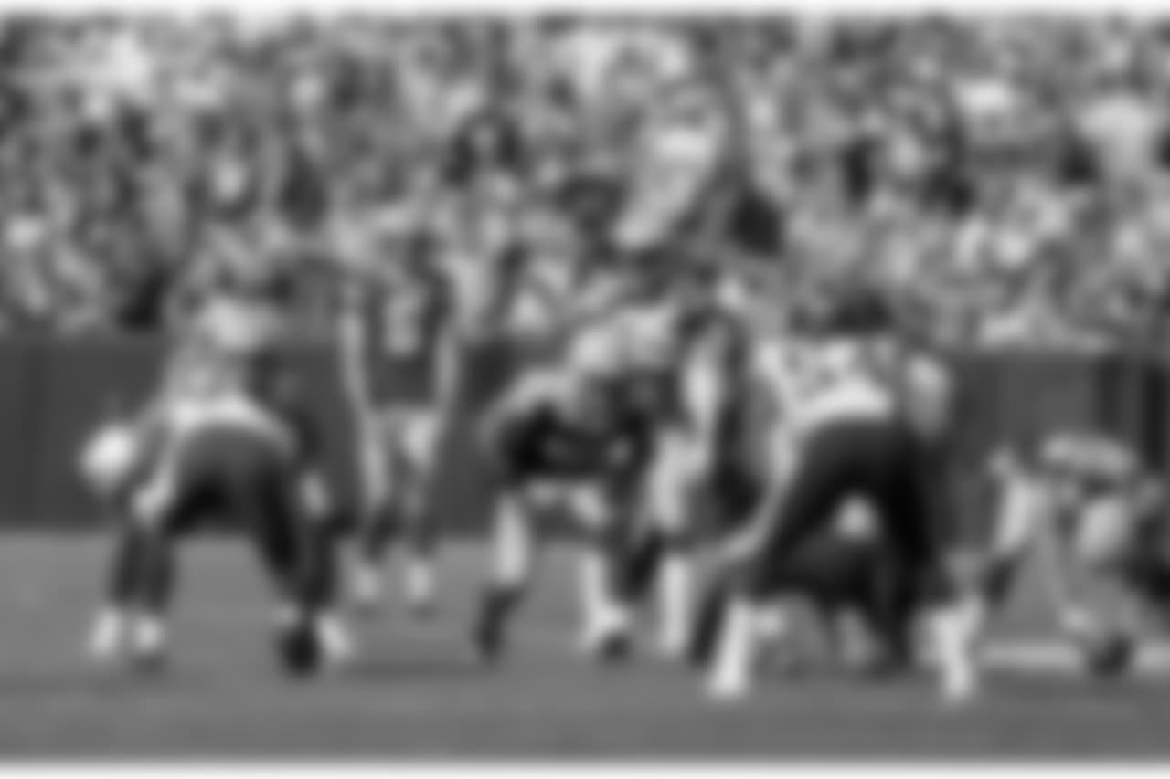 Green Bay Packers against the Minnesota Vikings during Sunday's game at Lambeau Field.