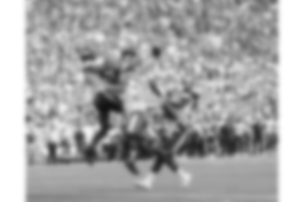 Green Bay Packers against the Minnesota Vikings during Sunday's game at Lambeau Field.
