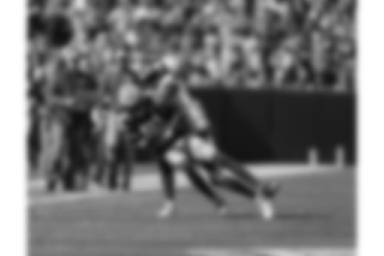 Green Bay Packers against the Minnesota Vikings during Sunday's game at Lambeau Field.