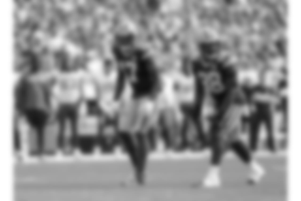 Green Bay Packers against the Minnesota Vikings during Sunday's game at Lambeau Field.