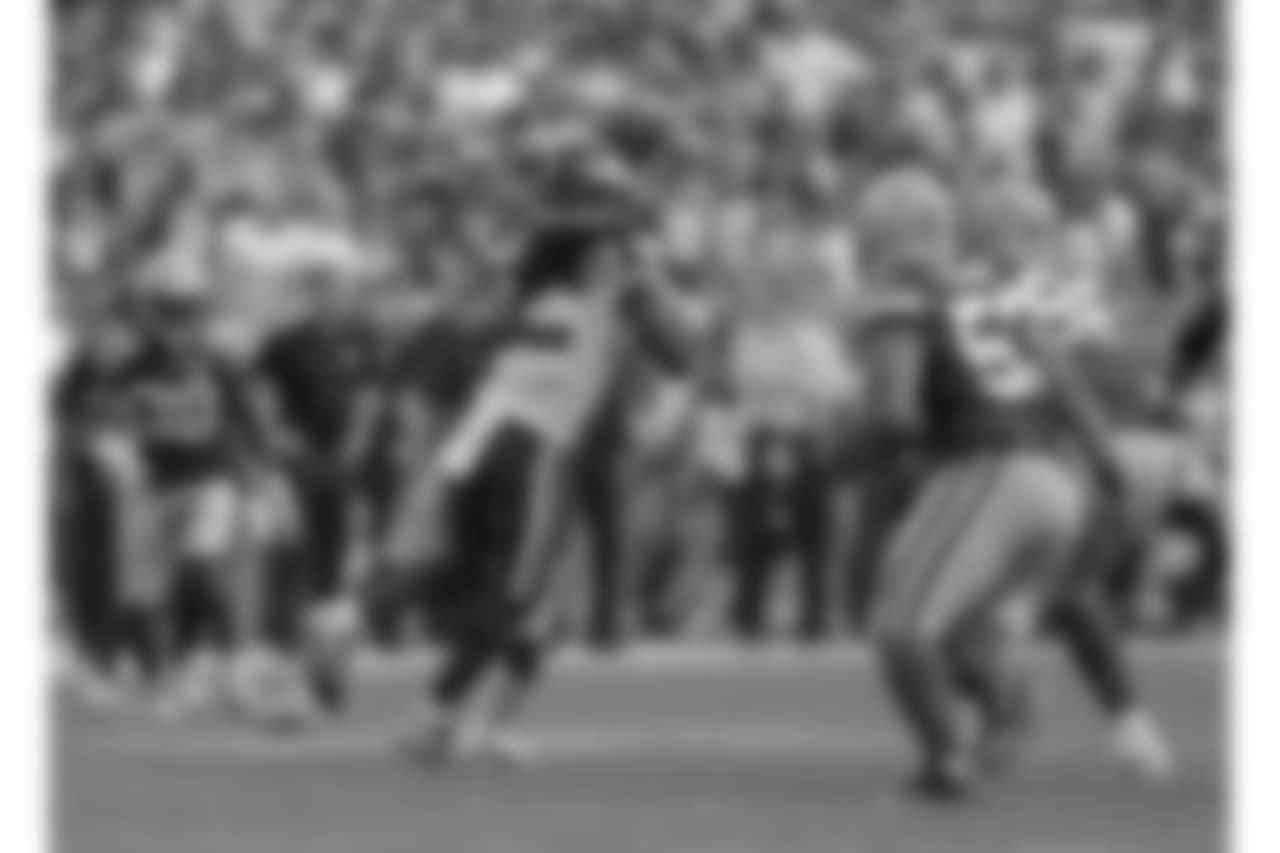 Green Bay Packers against the Minnesota Vikings during Sunday's game at Lambeau Field.