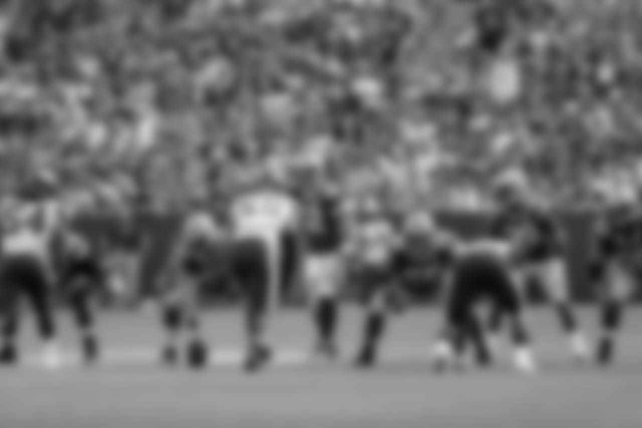 Green Bay Packers against the Minnesota Vikings during Sunday's game at Lambeau Field.