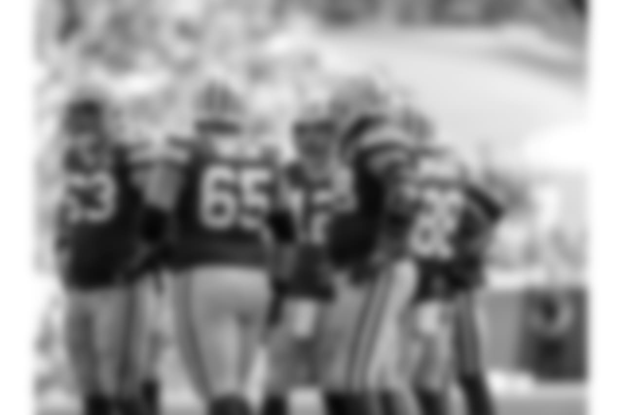 Green Bay Packers against the Minnesota Vikings during Sunday's game at Lambeau Field.