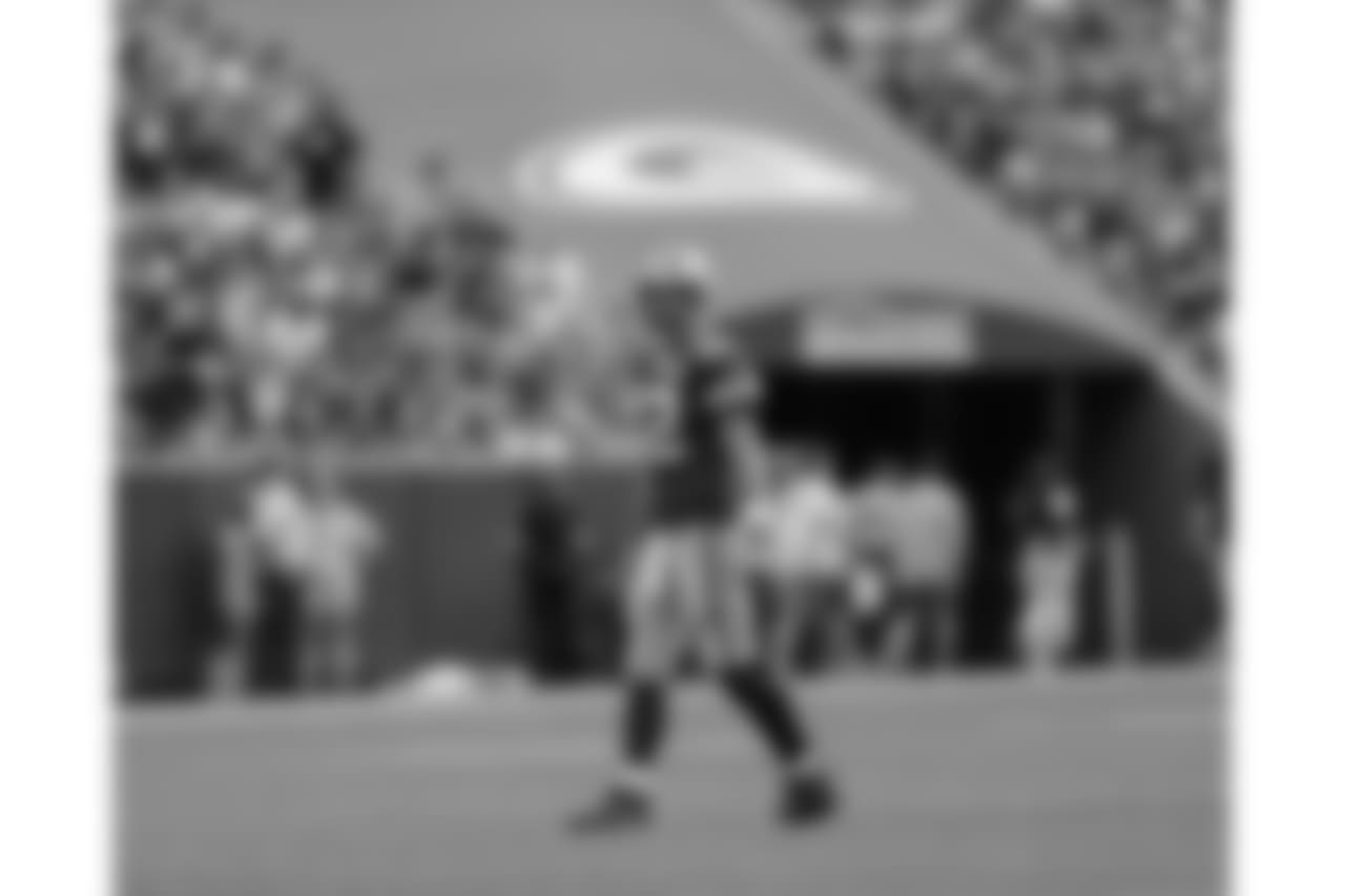 Green Bay Packers against the Minnesota Vikings during Sunday's game at Lambeau Field.
