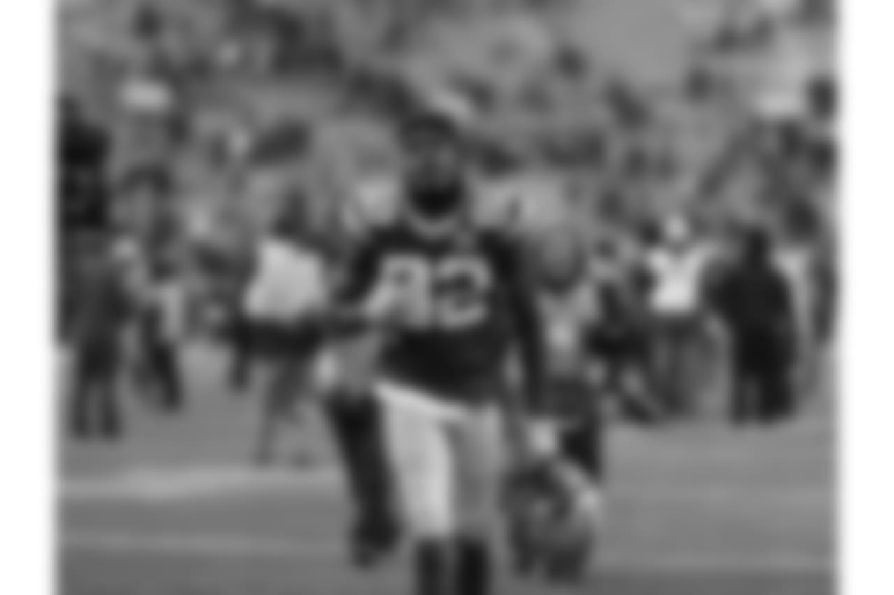 Green Bay Packers against the Atlanta Falcons during Sunday's game at Lambeau Field.