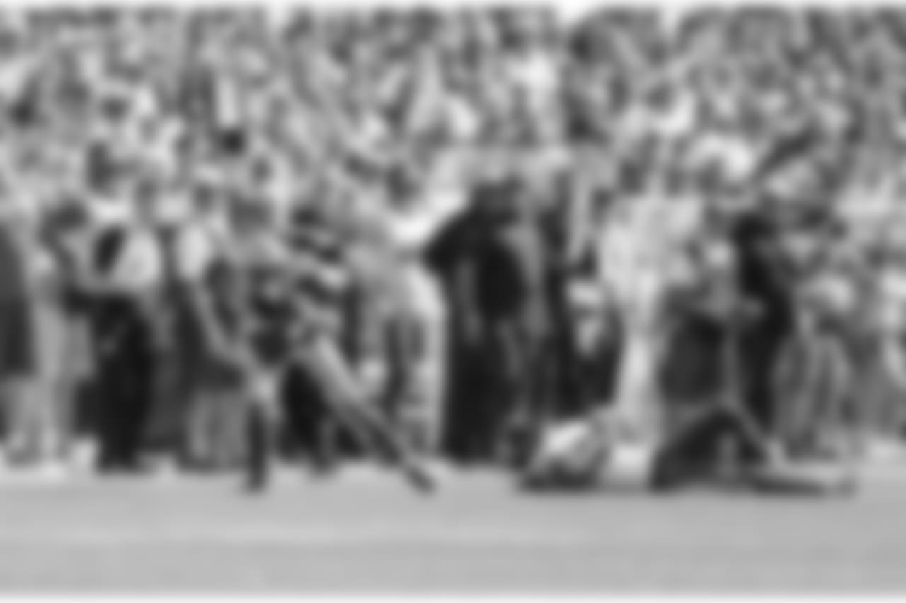 Green Bay Packers against the Minnesota Vikings during Sunday's game at Lambeau Field.