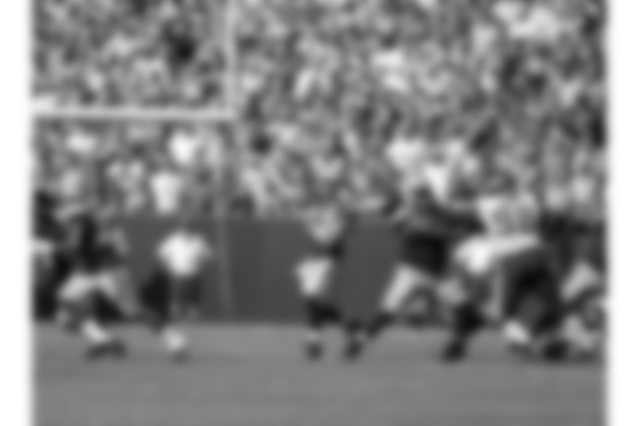 Green Bay Packers against the Minnesota Vikings during Sunday's game at Lambeau Field.