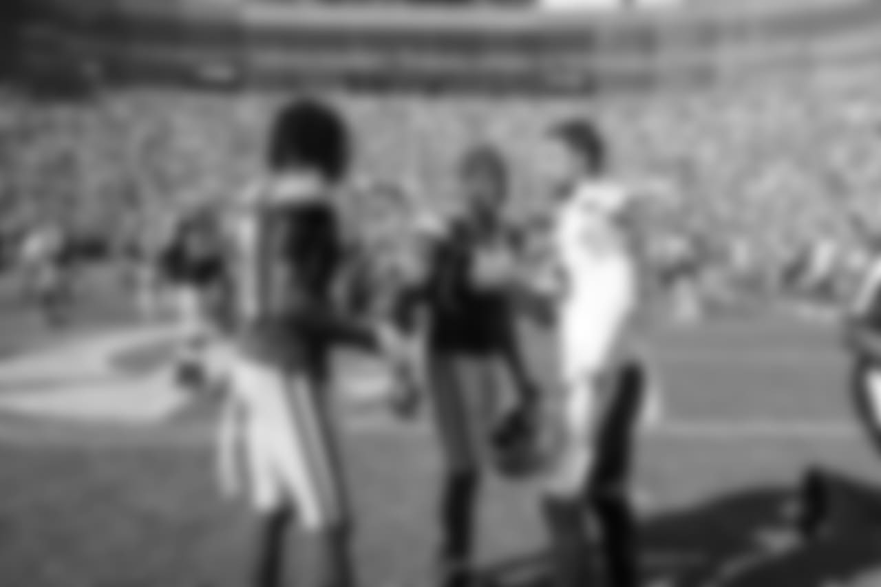 Green Bay Packers against the Minnesota Vikings during Sunday's game at Lambeau Field.