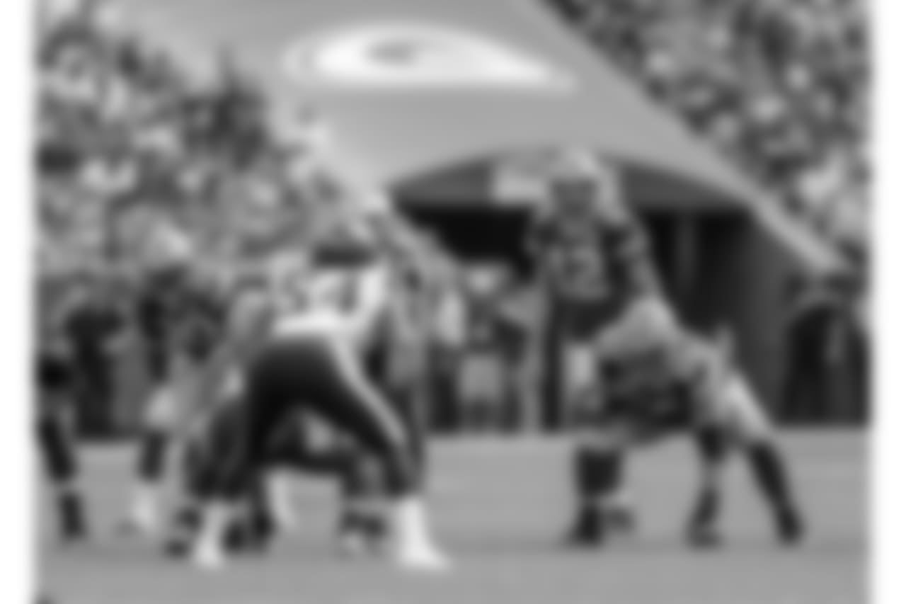 Green Bay Packers against the Minnesota Vikings during Sunday's game at Lambeau Field.