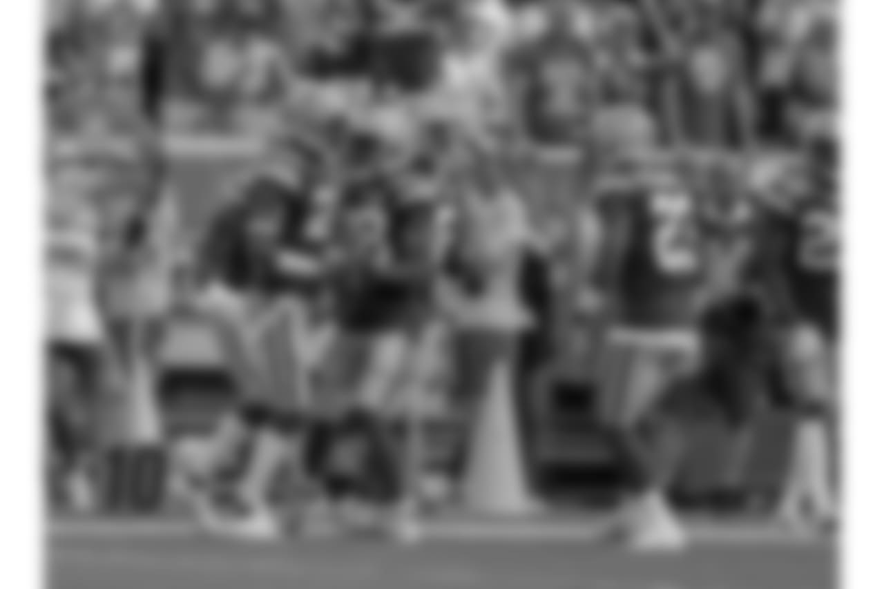 Green Bay Packers against the Minnesota Vikings during Sunday's game at Lambeau Field.