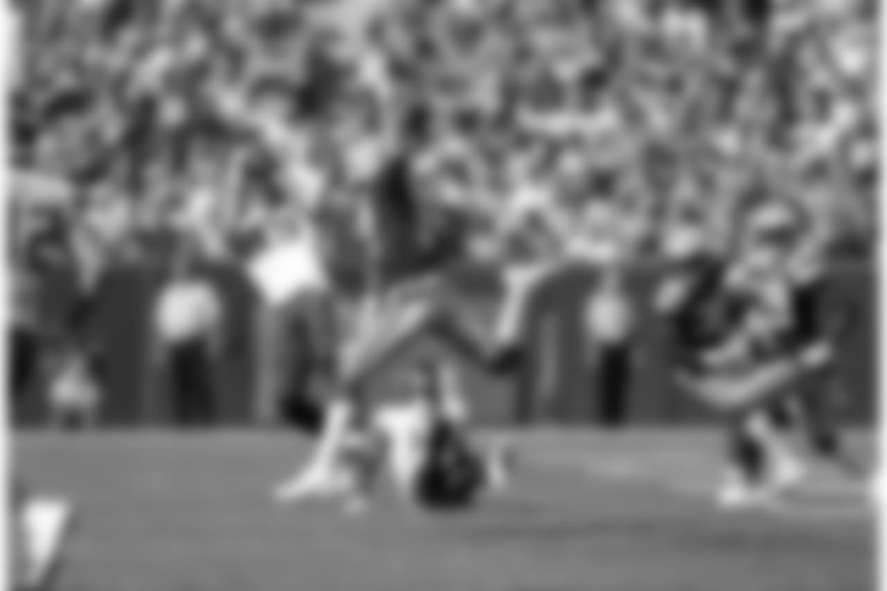 Green Bay Packers against the Minnesota Vikings during Sunday's game at Lambeau Field.