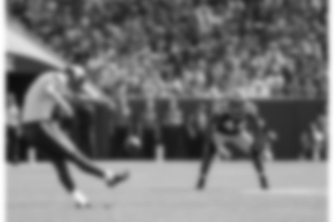 Green Bay Packers against the Minnesota Vikings during Sunday's game at Lambeau Field.