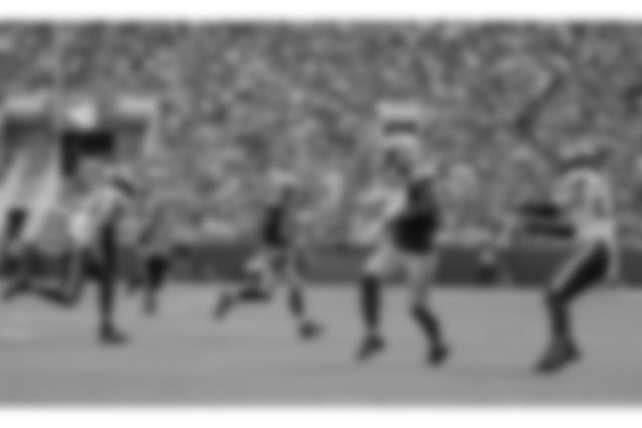 Green Bay Packers against the Minnesota Vikings during Sunday's game at Lambeau Field.