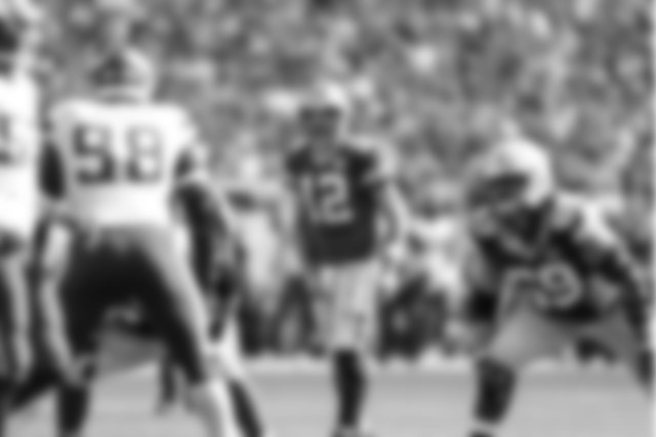Green Bay Packers against the Minnesota Vikings during Sunday's game at Lambeau Field.