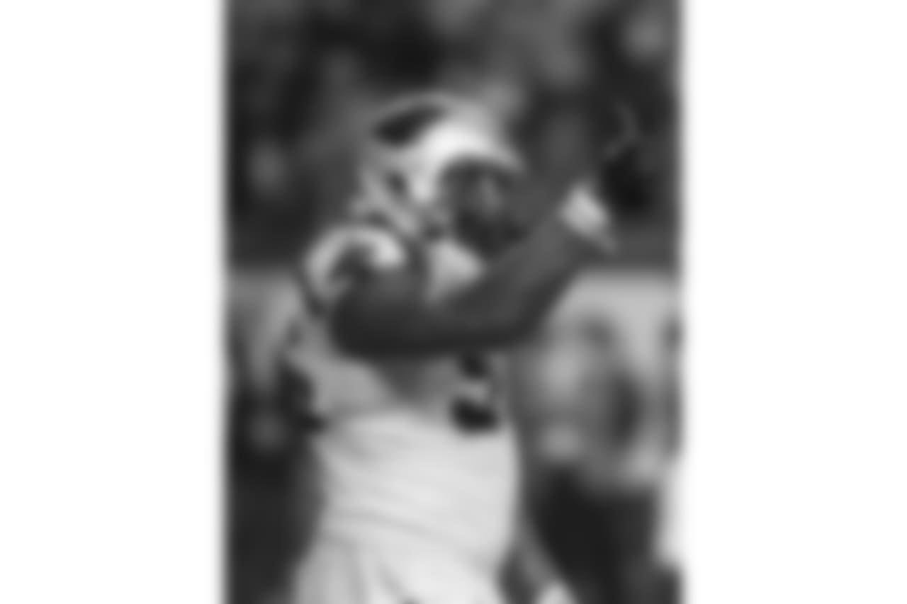 Carolina Panthers play against the Atlanta Falcons on Sunday, December 29, 2013.