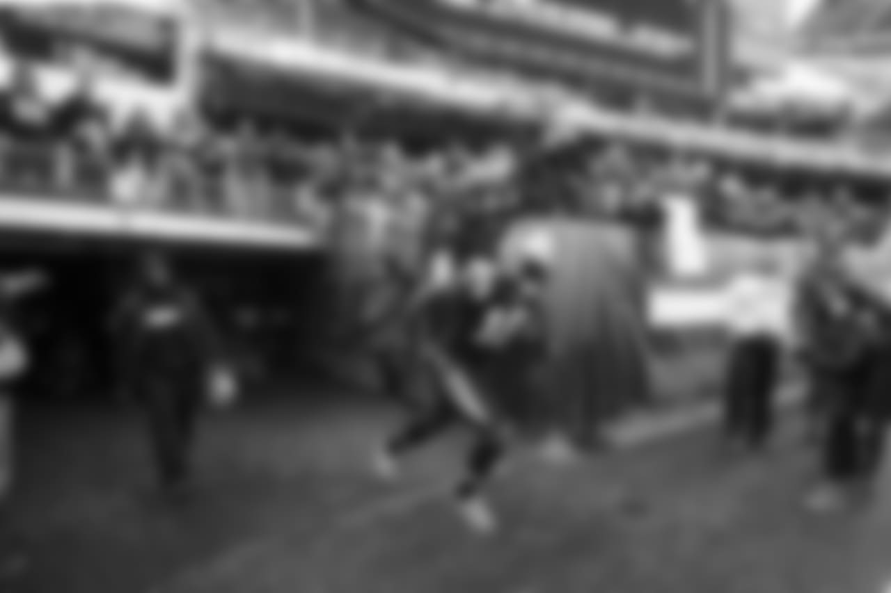 CARatCLE_1252
