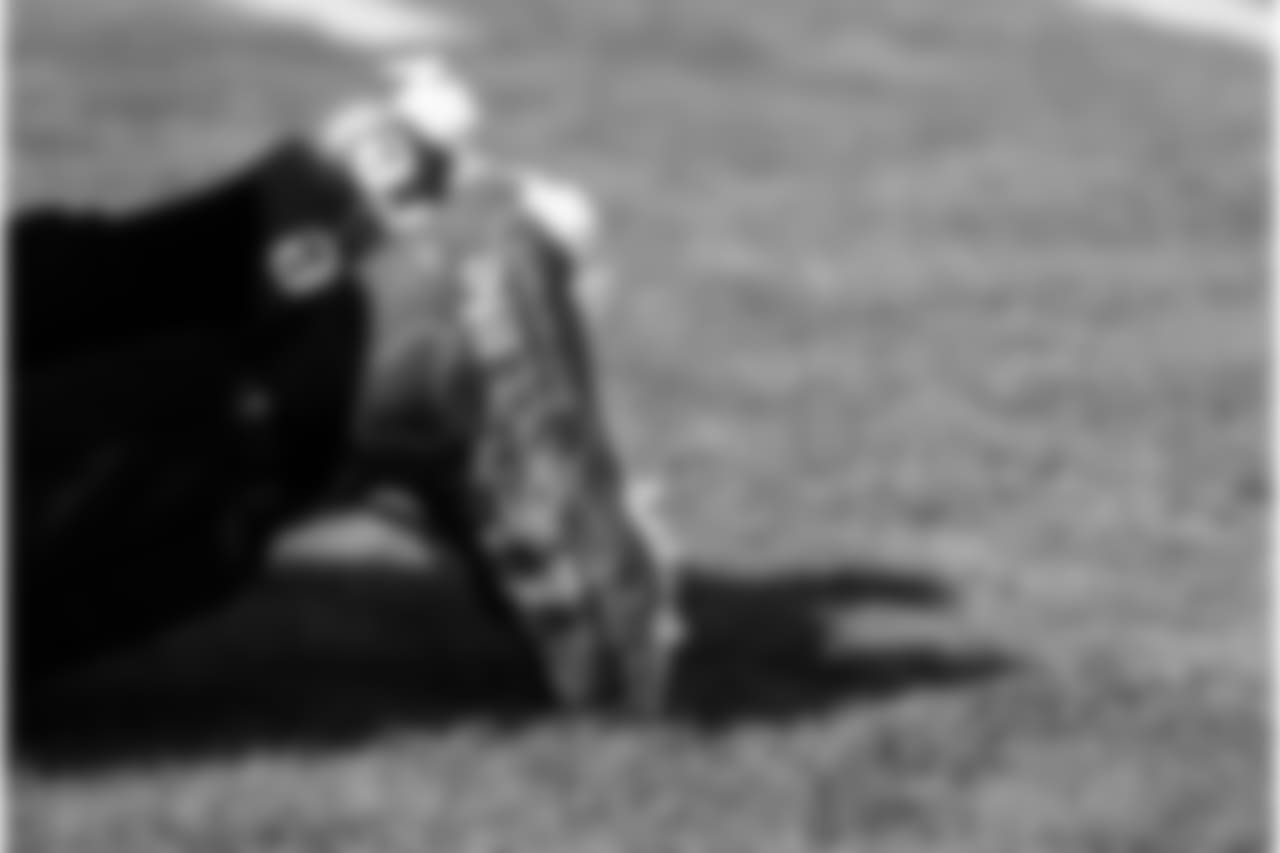 CARvsTAM_427