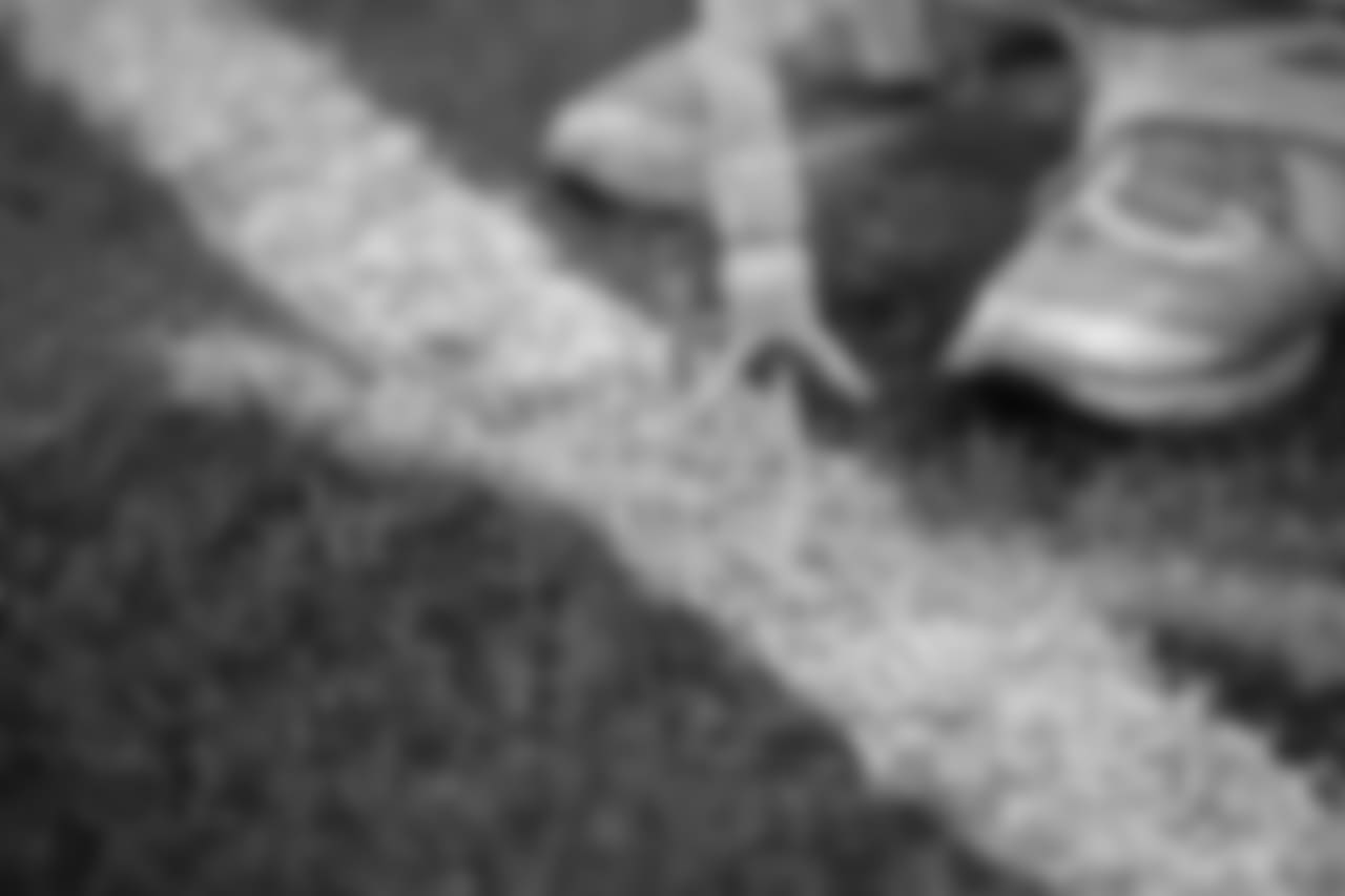 FieldPainting173