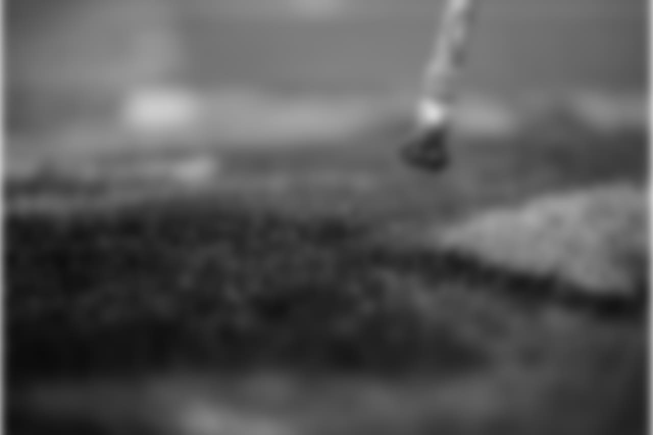 FieldPainting356