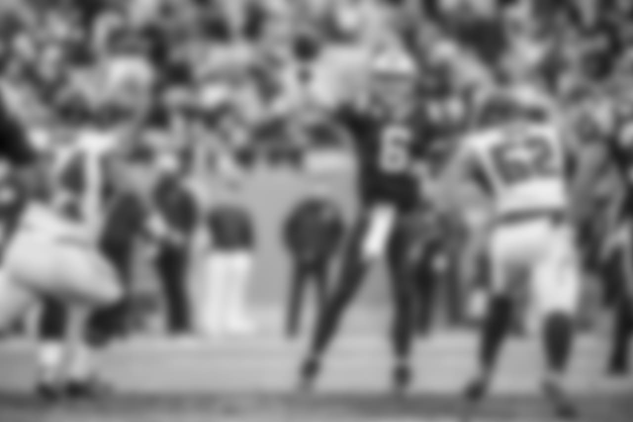 Panthers against the Atlanta Falcons at Bank of America Stadium on Sunday, December 23, 2018.