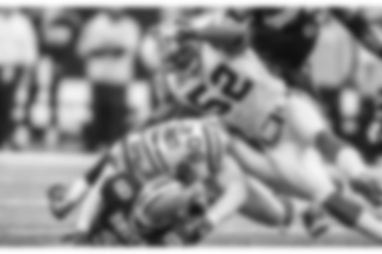 Julius Peppers sacks Drew Brees during a game against the New Orleans Saints at the Superdome on Sunday, December 28, 2008.