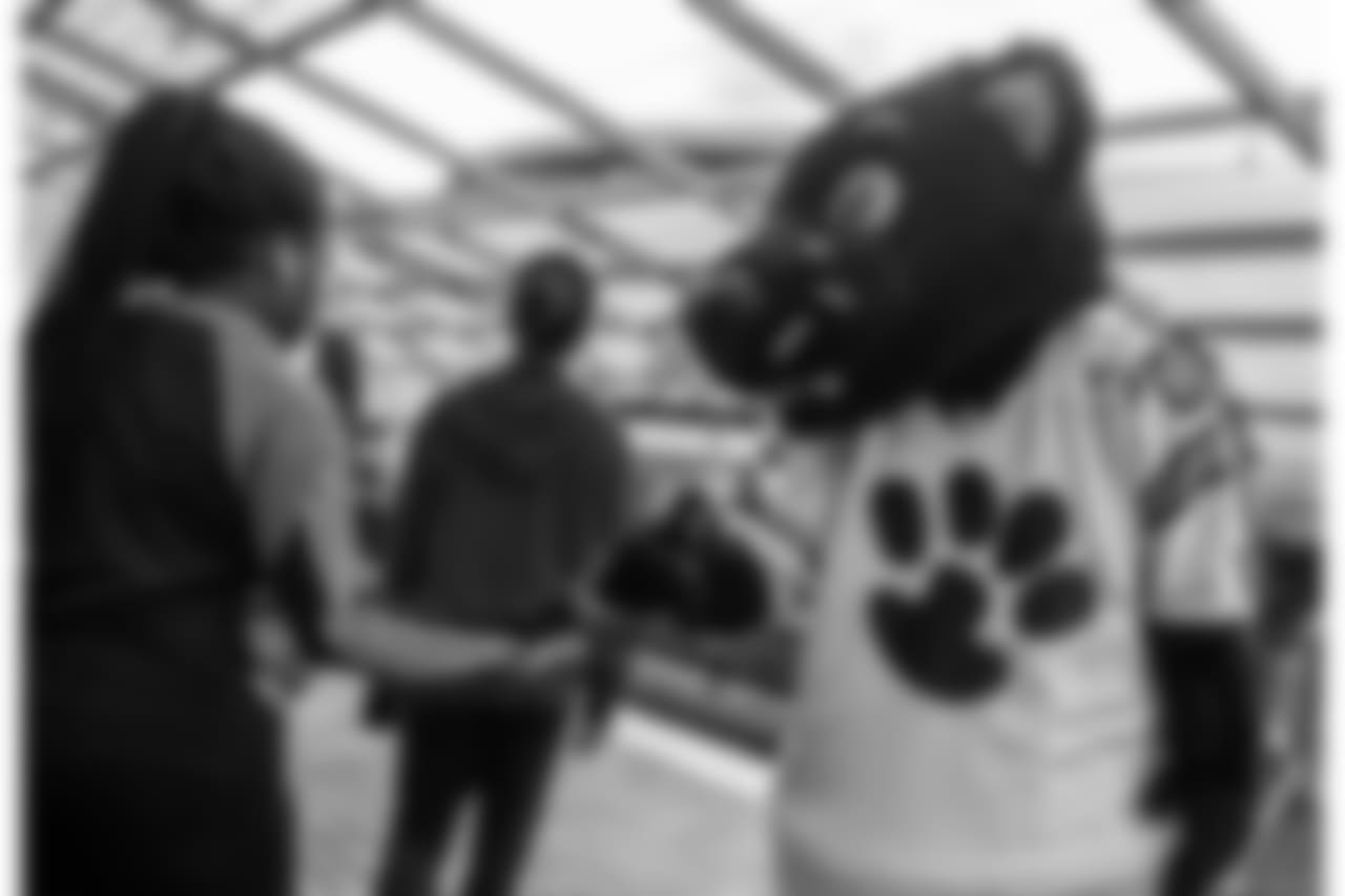 2018_08_22 tops cats LYNX 561