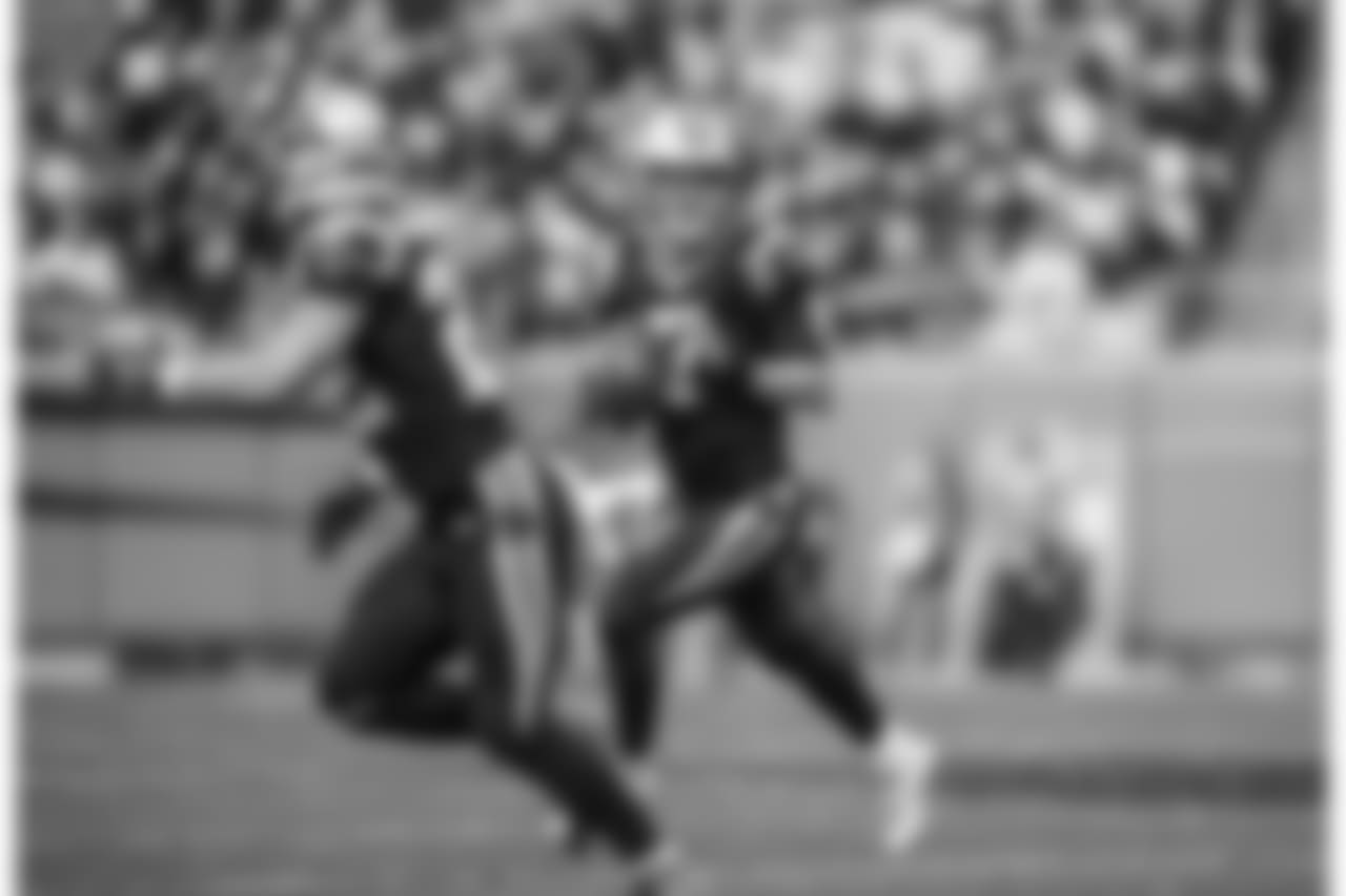 Panthers against the Atlanta Falcons at Bank of America Stadium on Sunday, December 23, 2018.